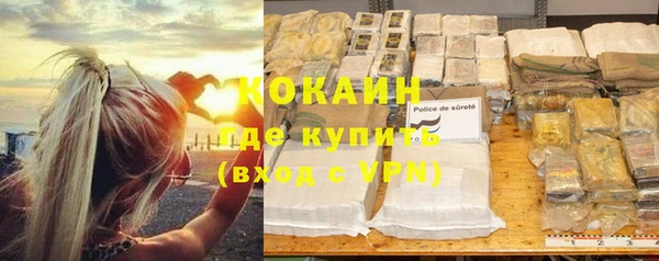 ПСИЛОЦИБИНОВЫЕ ГРИБЫ Баксан